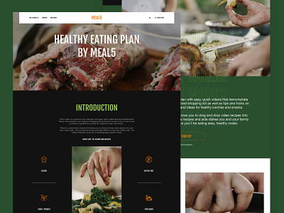 Meal5 Home Page Concept