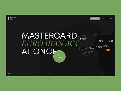 BlackCatCard bank bank card banking black cat cat clean creative financial interaction interface landing landing page product design typography ui ux web webdesign website
