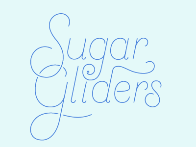 Sugar Gliders custom design gliders illustration lettering logo sugar