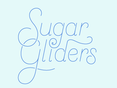 Sugar Gliders