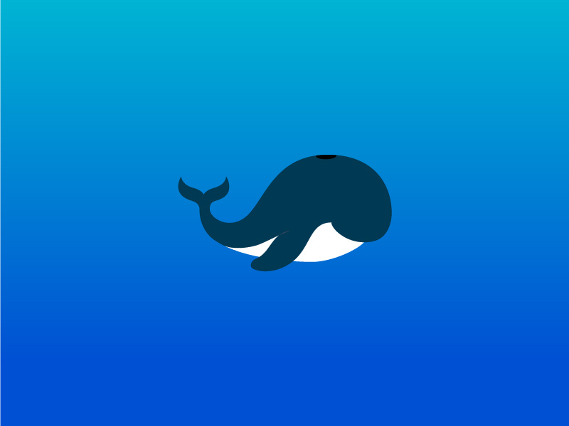 Whale illustrator spot illustration water animal simple fish ocean sea whale illustration icon vector