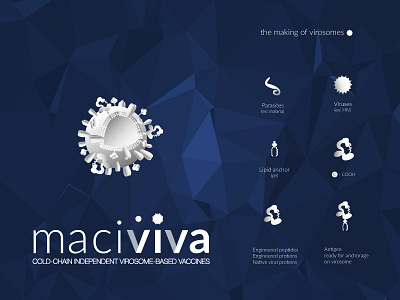 Maciviva Logo design & Illustration branding illustration logo