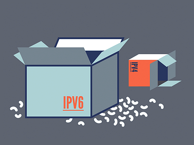 First IT Certifications - Unpacking IPv6 box flat illustration packaging peanuts