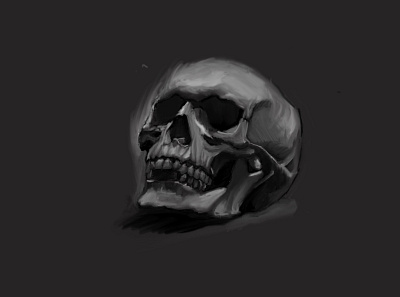 Memento Mori art branding design digital digital painting illustration ipad pro painting philosophy procreate skull skull logo skulls