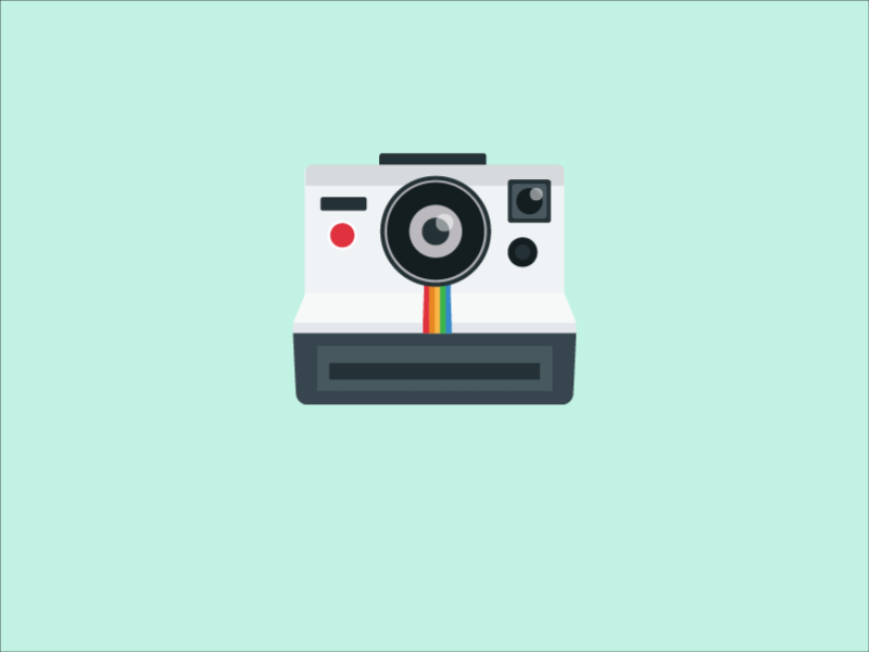 Polaroid after effects after effects animation animation design illustration illustrator