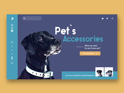 Pet Shop blue design dog flat orange pet petshop ui ux vector web website