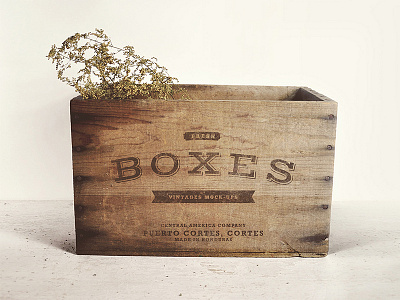 Vintages Boxes Mock-up PSD box logo mock up mockup showcase vintage wood