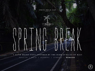 Spring Break Font + Bonus Graphics bali branding creative market design font illustration logo sans serif typeface