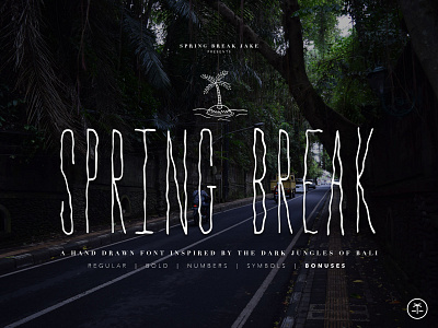 Spring Break Font + Bonus Graphics