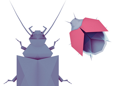 Bugs bug cinema4d illustration insect low poly