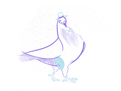 Master Gentlepigeon esq. birds character design freelance illustration ink wildlife