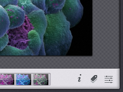 Microscopy Editor icons ipad tag