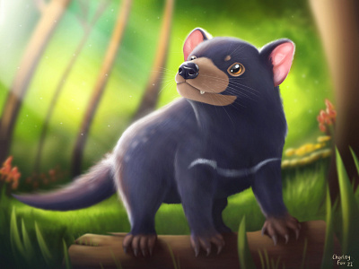 Tasmanian Devil