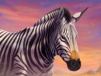 Hartmann's Mountain Zebra animal animal art animal painting equidae equus zebra hartmannae hartmanns mountain zebra illustration safari wildlife zebra zebra art zebra illustration zebra painting