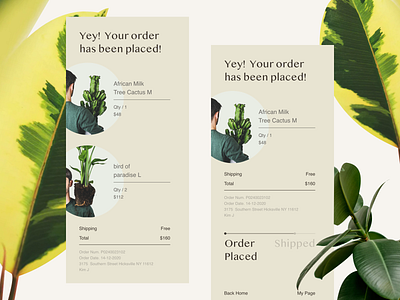 dailyUI #017 Email Receipt