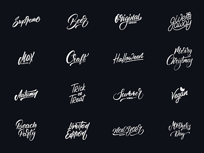 Lettering logofolio vol 1 apparel branding brush calligraphy clothing design fashion hand lettering handlettering label lettering logo logotype mark packaging script sketch type typography