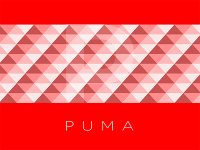 Puma Concept background branding geometric illustration logo pattern type