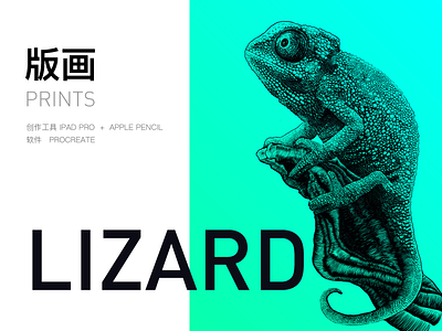 Lizard design graphic sketch