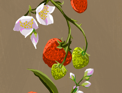 Strawberries