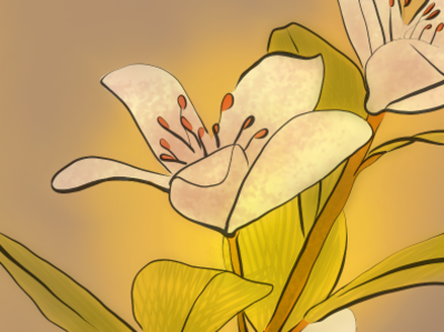 Tangerine' flowers flower illustration krita