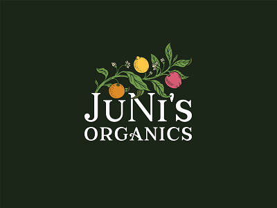 Logo design for a healthy snack company