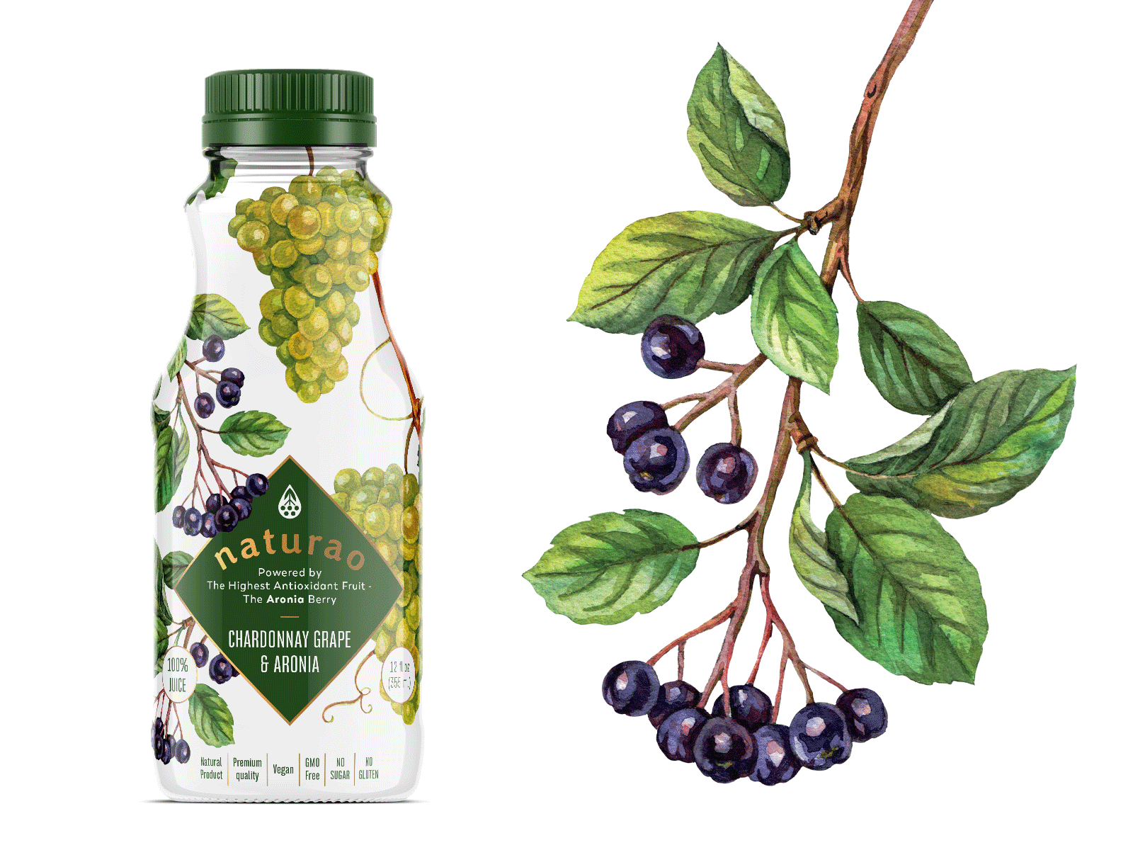 Unused concept for Aronia based juices branding arinia drink grape graphic design illustration juice label natural organic premium watercolor white