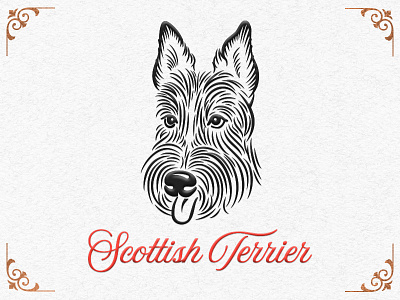 Scottish Terrier dog drawing illustration new year terrier vintage