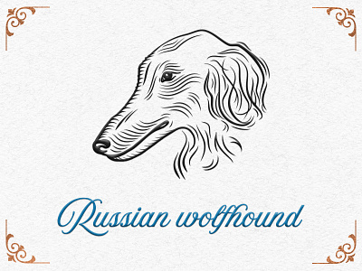 Russian wolfhound dog drawing illustration new year vintage wolfhound