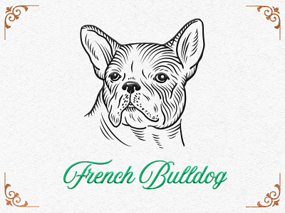 French Bulldog bulldog dog drawing illustration new year vintage