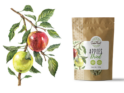 Dried fruits packaging serie - apple apple drawing illustration organic pouch vintage watercolor