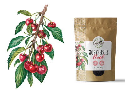 Dried fruits packaging serie - cherries cherry drawing illustration kraft organic vintage watercolor