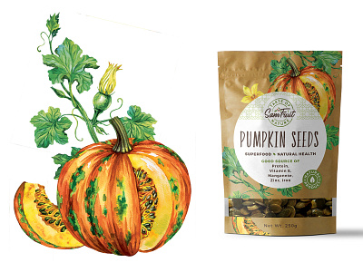 Pumpkin seeds package drawing hand drawn illustration organic pumpkin seeds vintage watercolor