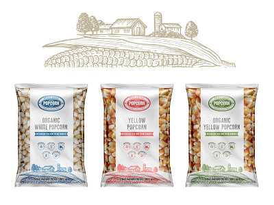 Package design and illustration for popcorn company conr drawing hand drawn illustration organic popcoen vintage