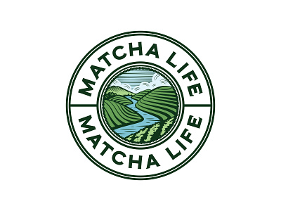 Logo for Matcha company 1 drawing green illustration logo matcha team vintage