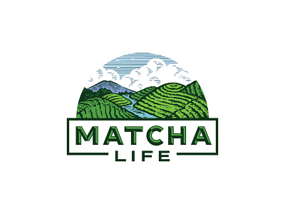 Logo for Matcha company 3 drawing green illustration logo matcha team vintage