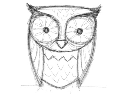 Sketch Owl animal bird ipad owl sketch