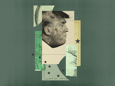 Trump vs. Tongass Forest collage forest paper stars topographic map topography trees trump