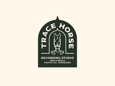 THRS amp badge horse horseshoe music recording smoke steam tube