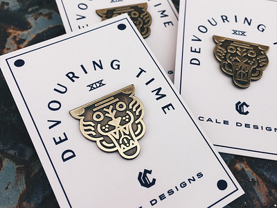 Broach designs, themes, templates and downloadable graphic elements on  Dribbble