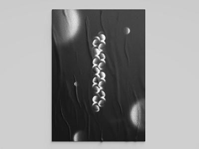 Sonder No. 4 abstract bellingham black and white circle gradient grey grit gritty illustration noise paper poster poster art poster design proportion scale series shape texture
