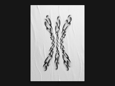 Mimeomia No. 6 abstract black and white grit gritty painting symmetry washington