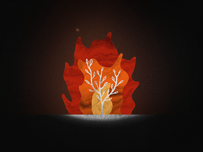 Burning Bush 3d camp fire campfire exodus old testament pnw smoke texture