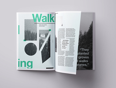Walking / Editorial 2d editorial layout indesign layout nature pnw shapes walk walking
