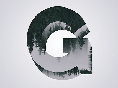 Phreaky Photo-Letters: G for Gray (Skies) dimension forest g gray letters photo photography phreaky series trees