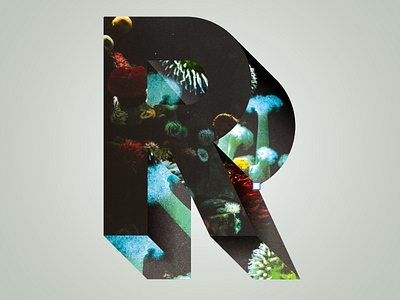 Phreaky Photo-Letters: R for Reef dimension letters photo photography phreaky r reef series