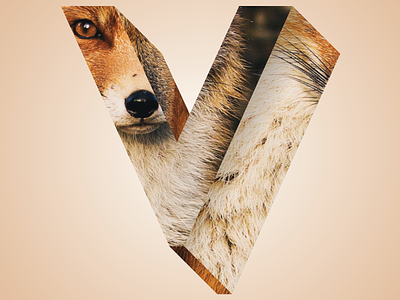 Phreaky Photo-Letters: V for Vixen dimension fox letters photo photography phreaky series v vixen