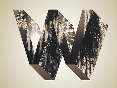 Phreaky Photo-Letters: W for Willow Tree dimension letters photo photography phreaky series w willow tree