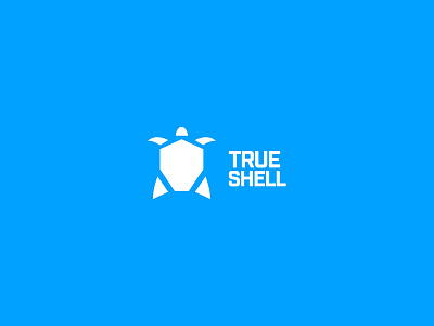 True Shell Logo Comps blue logo pool logo pools shell true true shell turtle