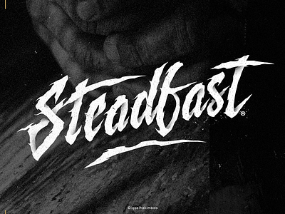 Steadfast brush freestyle handstyle lettering type typography vector