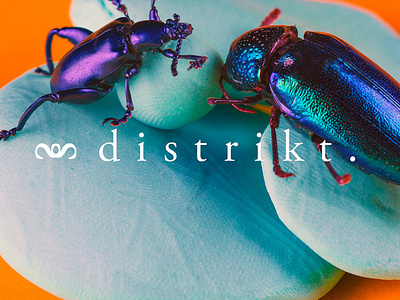 Distrikt